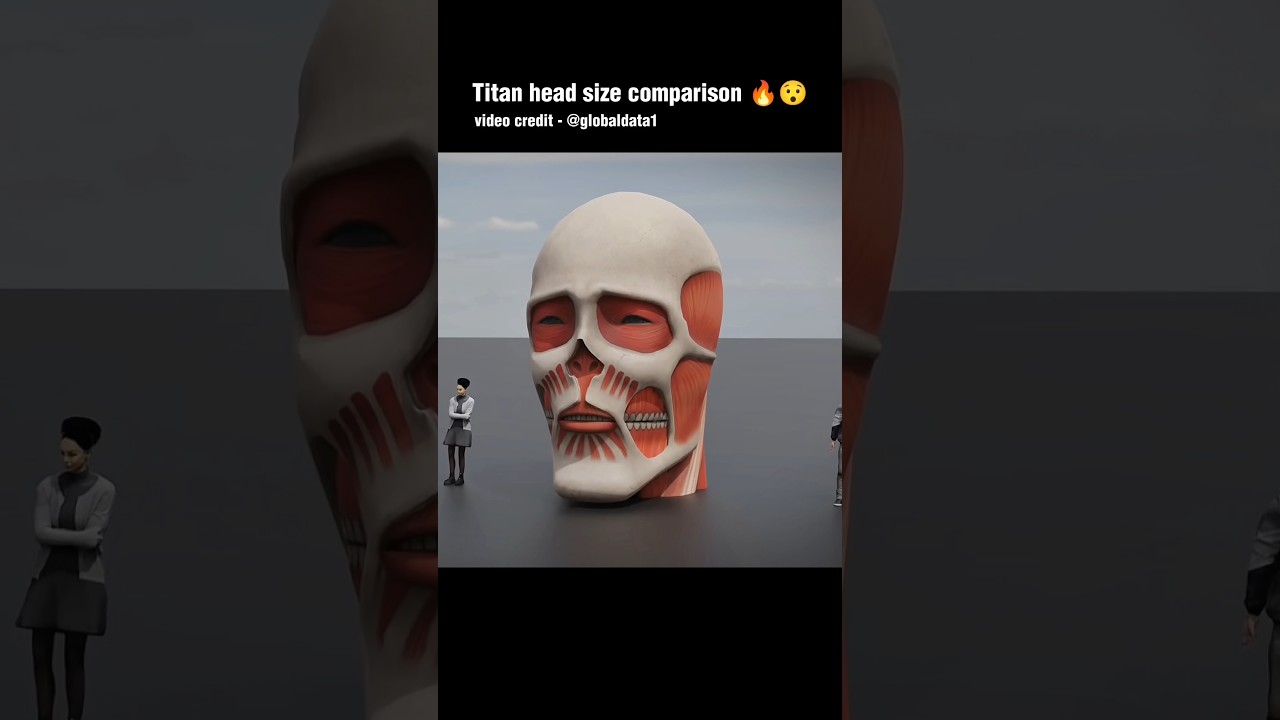 TITANS HEAD COMPARISON: Who's the Biggest? || Titans comparison 🔥😉 #shorts #anime #titan #badass