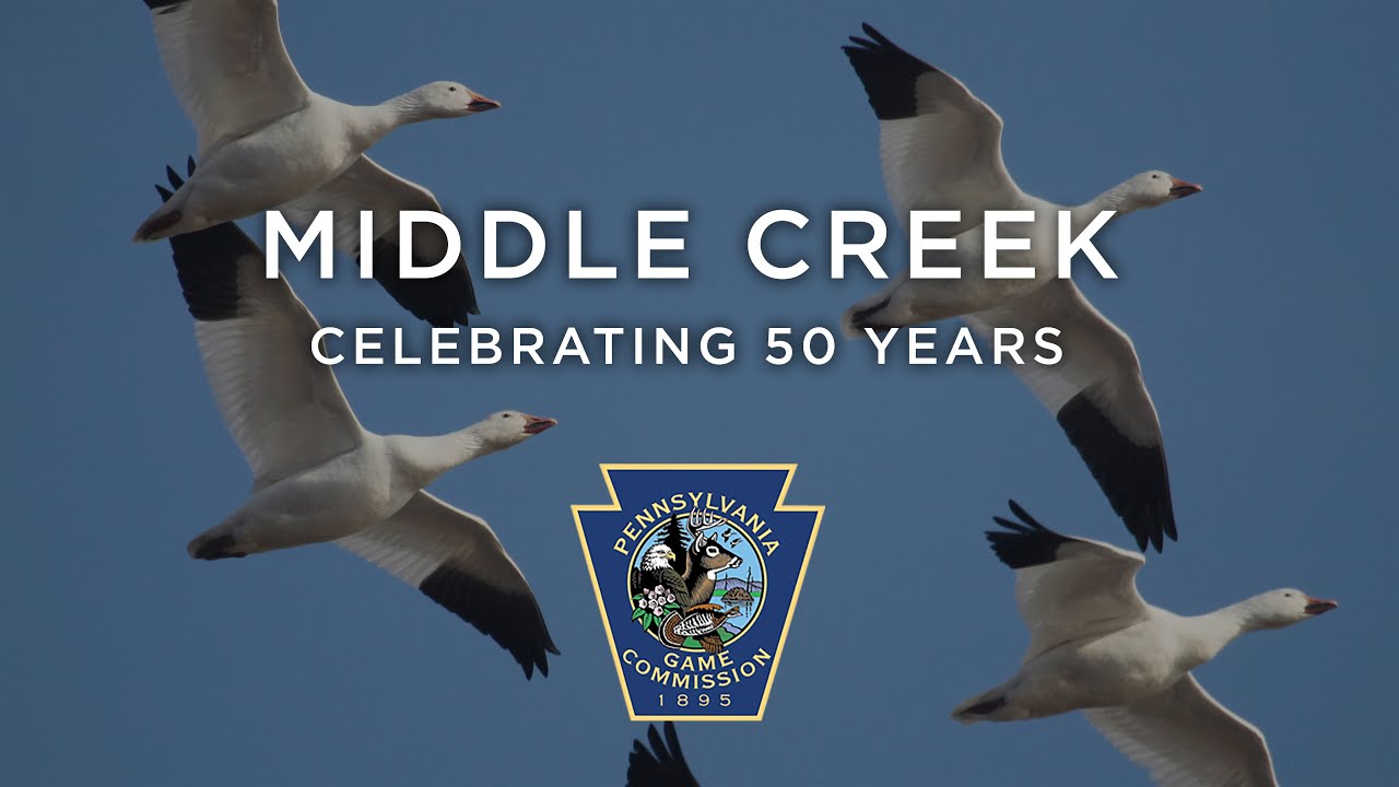 Middle Creek: Celebrating 50 Years
