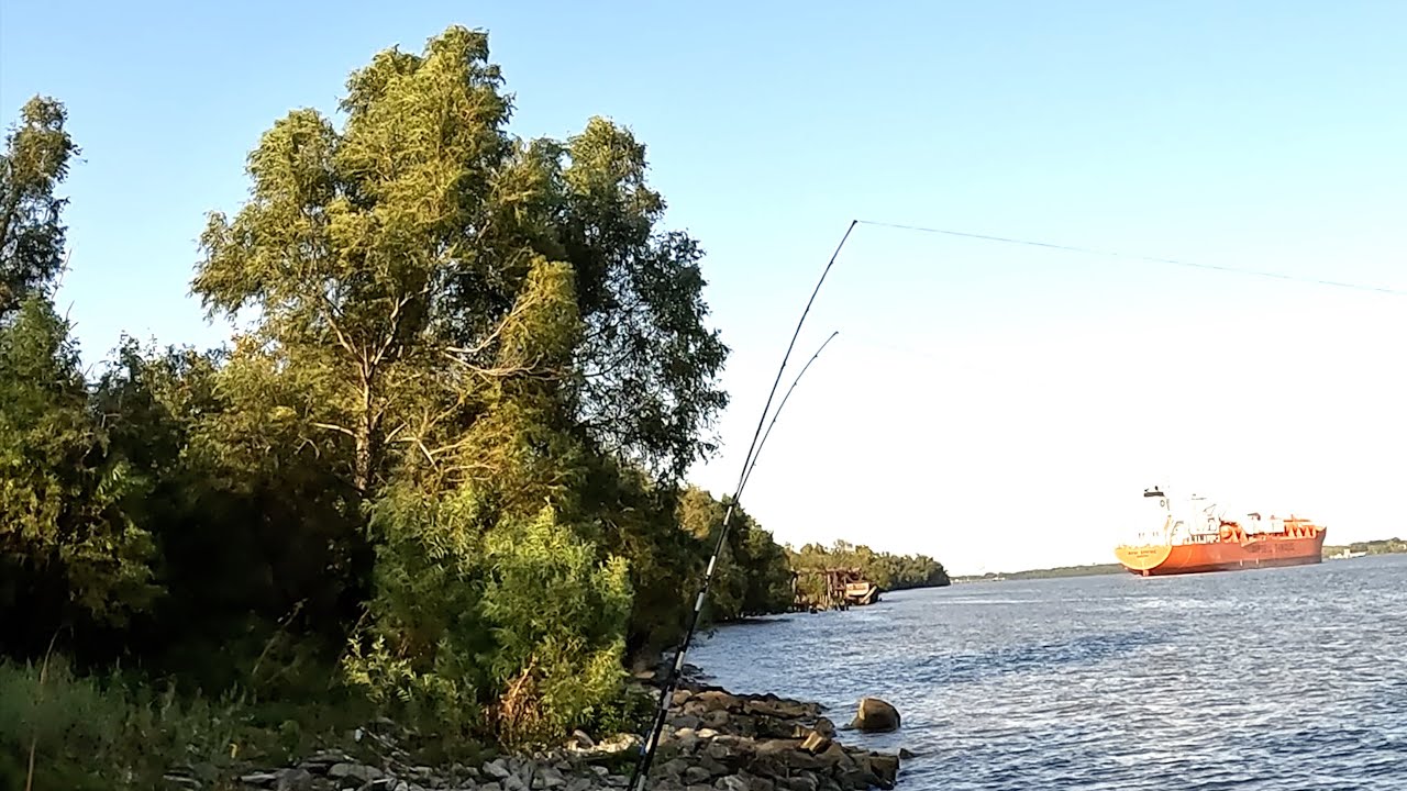 Checking It Out, Mississippi River Catfish Fishing