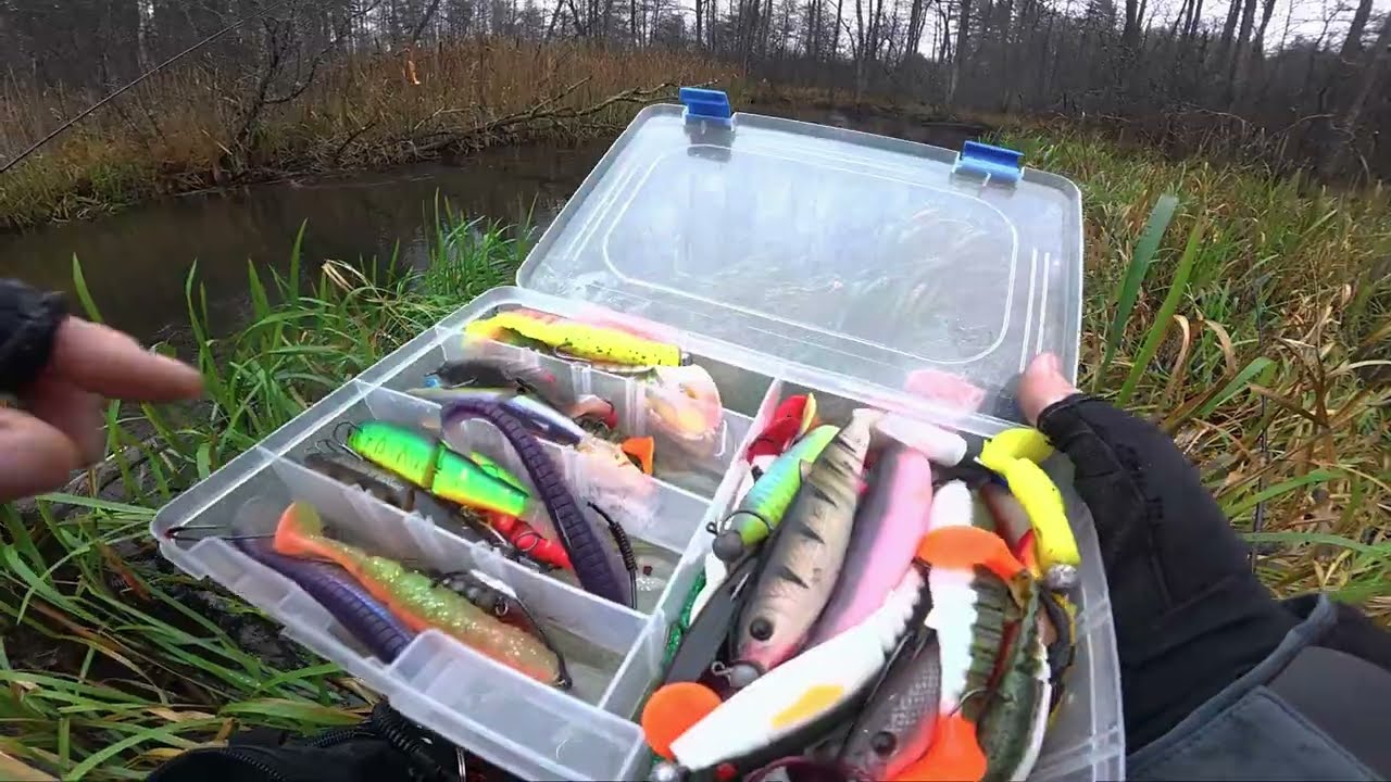 LYDEKŲ ŽUKLĖ LAUKINIAME UPELYJE. Masalą reikėjo užmesti tiksliai į ta&scaron;ką! Ofsetiniai kabliai