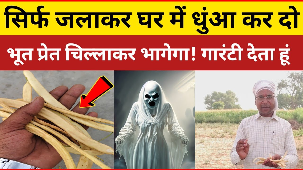 सिर्फ इसे जलाकर घर में धुंआ कर दो // तंत्र मंत्र भूत प्रेत चिल्लाकर भागेगा! 100% गारंटी है