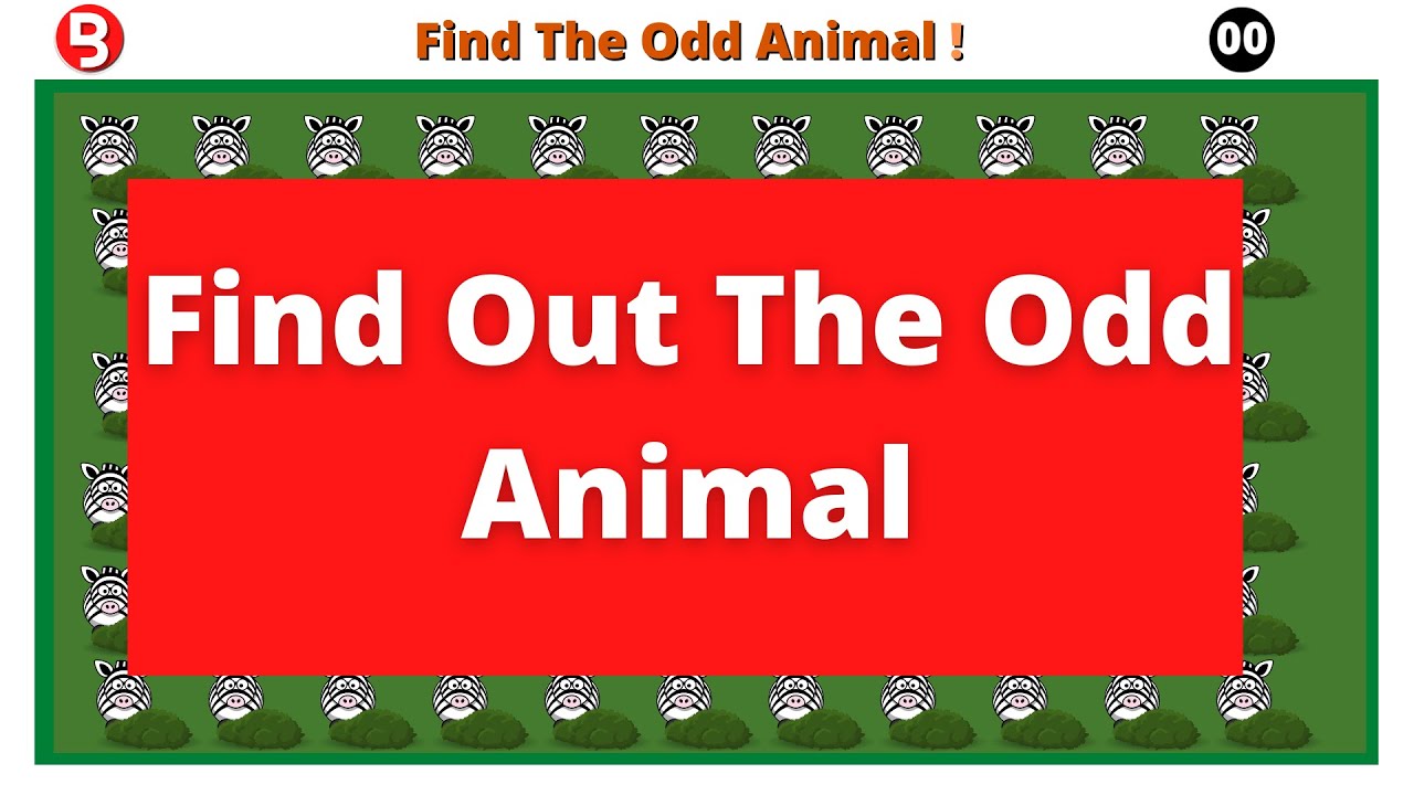 Find The Animal Game Video 5 | Animal Series Video 5 | Brainry