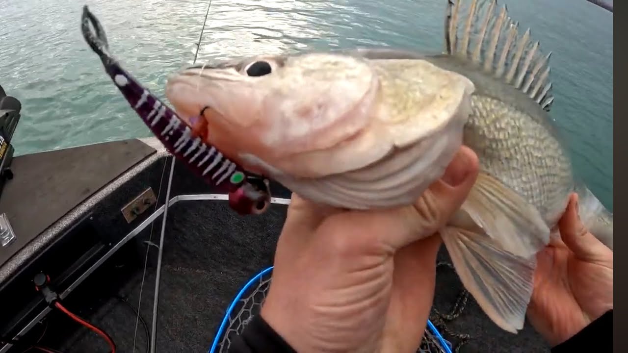 Detroit River Walleye Jigging!!!! (March 2025)