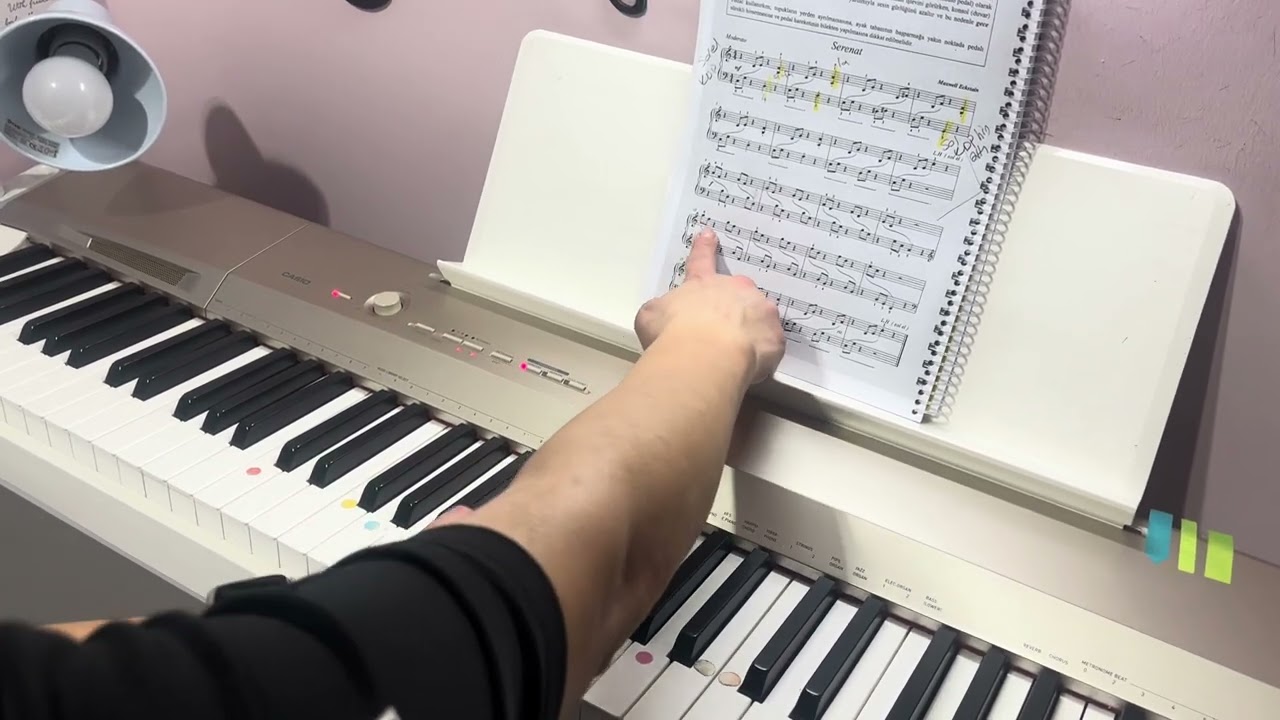 Serenat #maxwelleckstain #serenat #keşfet #like #piano #piyano #music #education #worldmusic 