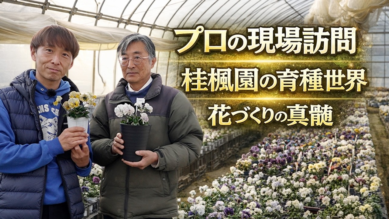 プロの現場に潜入！桂楓園に学ぶ育種の世界と花づくりの極意【ハイポネックス】【リキダス】