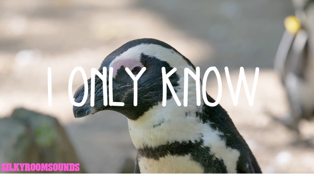 I Only Know / Deep House