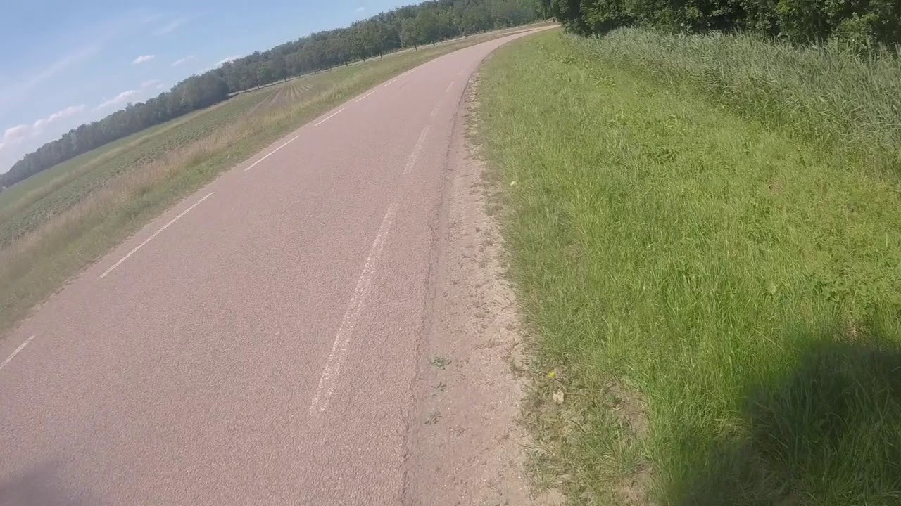 Robbenoordbos andere kant van de A7