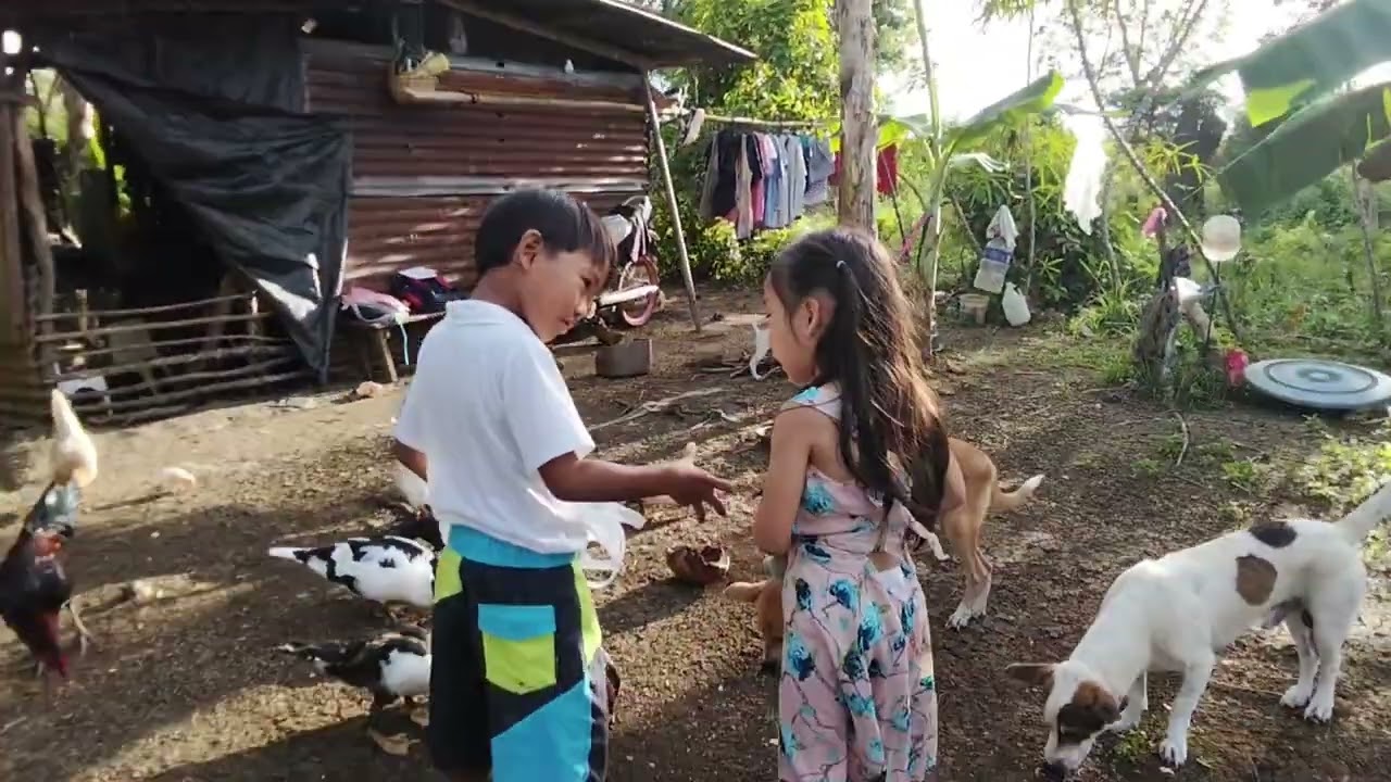 Nagpakain Kami nang mga alaga ni nanay/