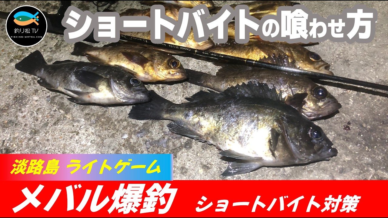 無限のあたりに遭遇　淡路島メバリング