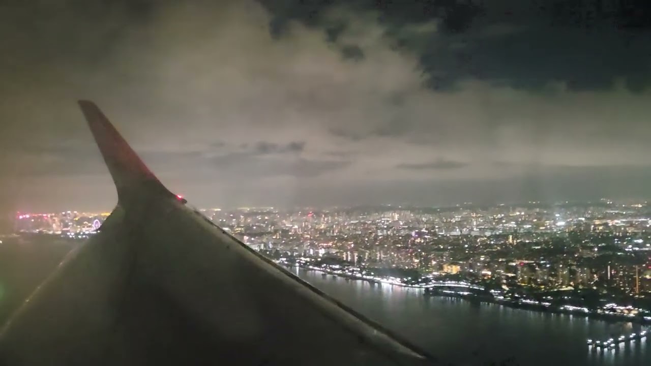 FINAL APPROACH AND LANDING IN SINGAPORE | Philippine Airlines A321