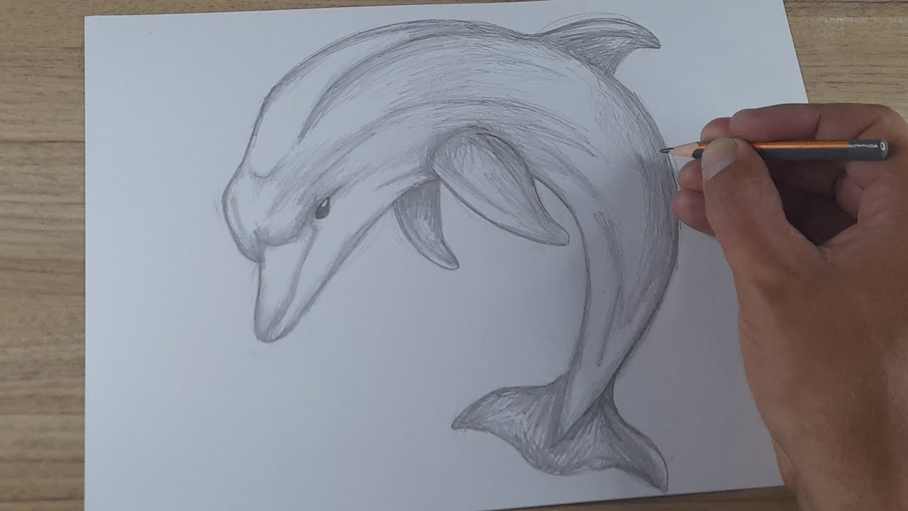 COMO DESENHAR UM GOLFINHO
