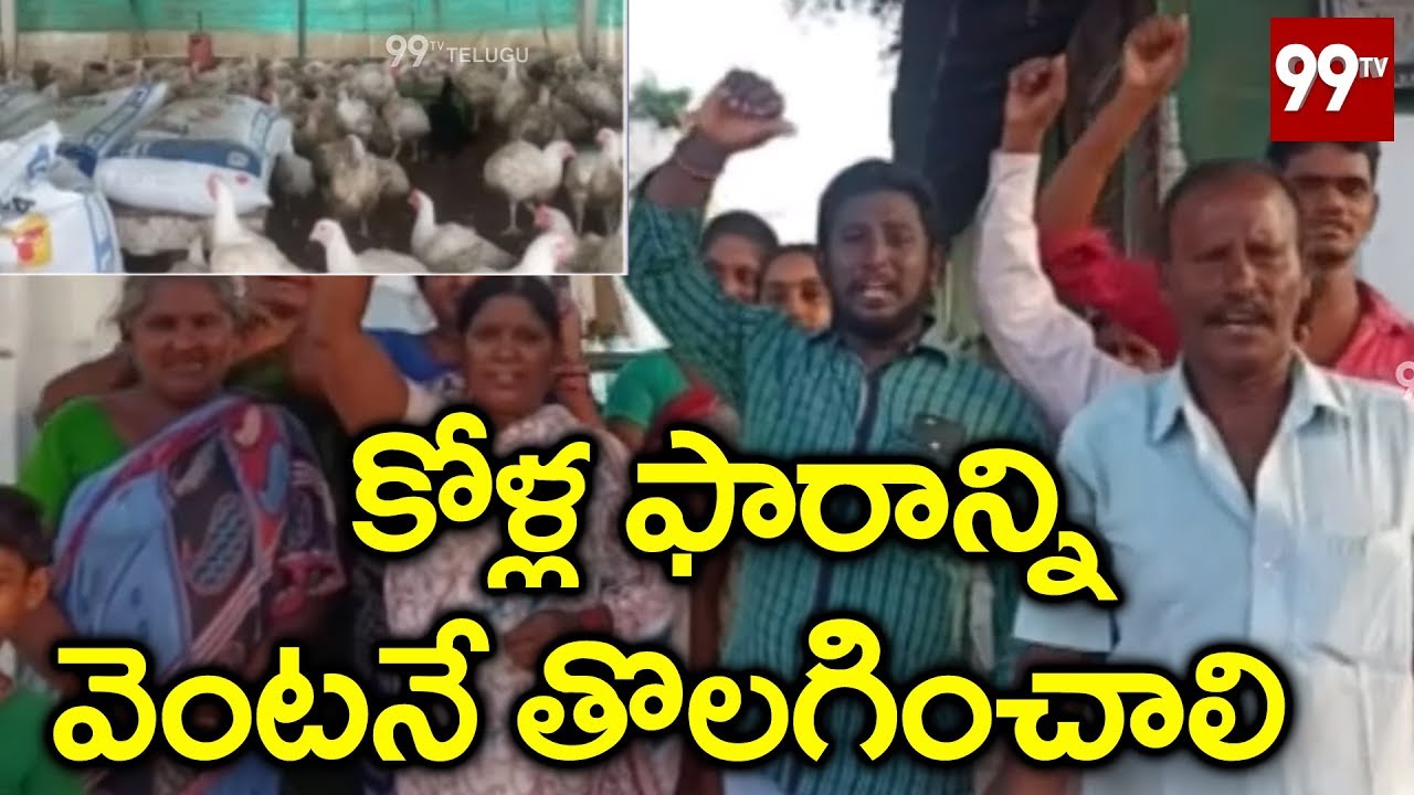 People Stages Protest Over Illeagal Poultry Farm in Pithapuram | 99 TV Telugu