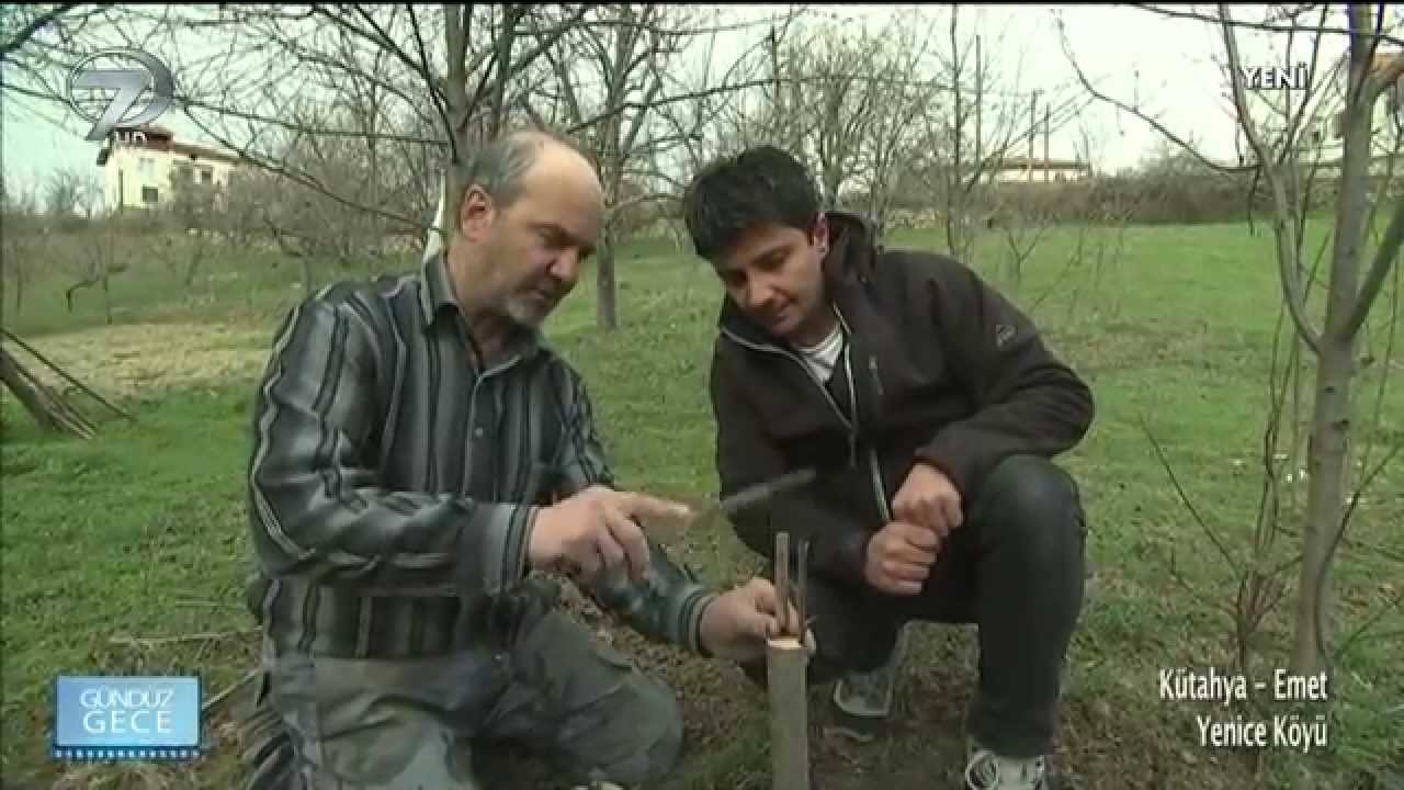 Kanal 7 G&uuml;nd&uuml;z Gece Proğramı Emet-Yenice 1 B&Ouml;L&Uuml;M