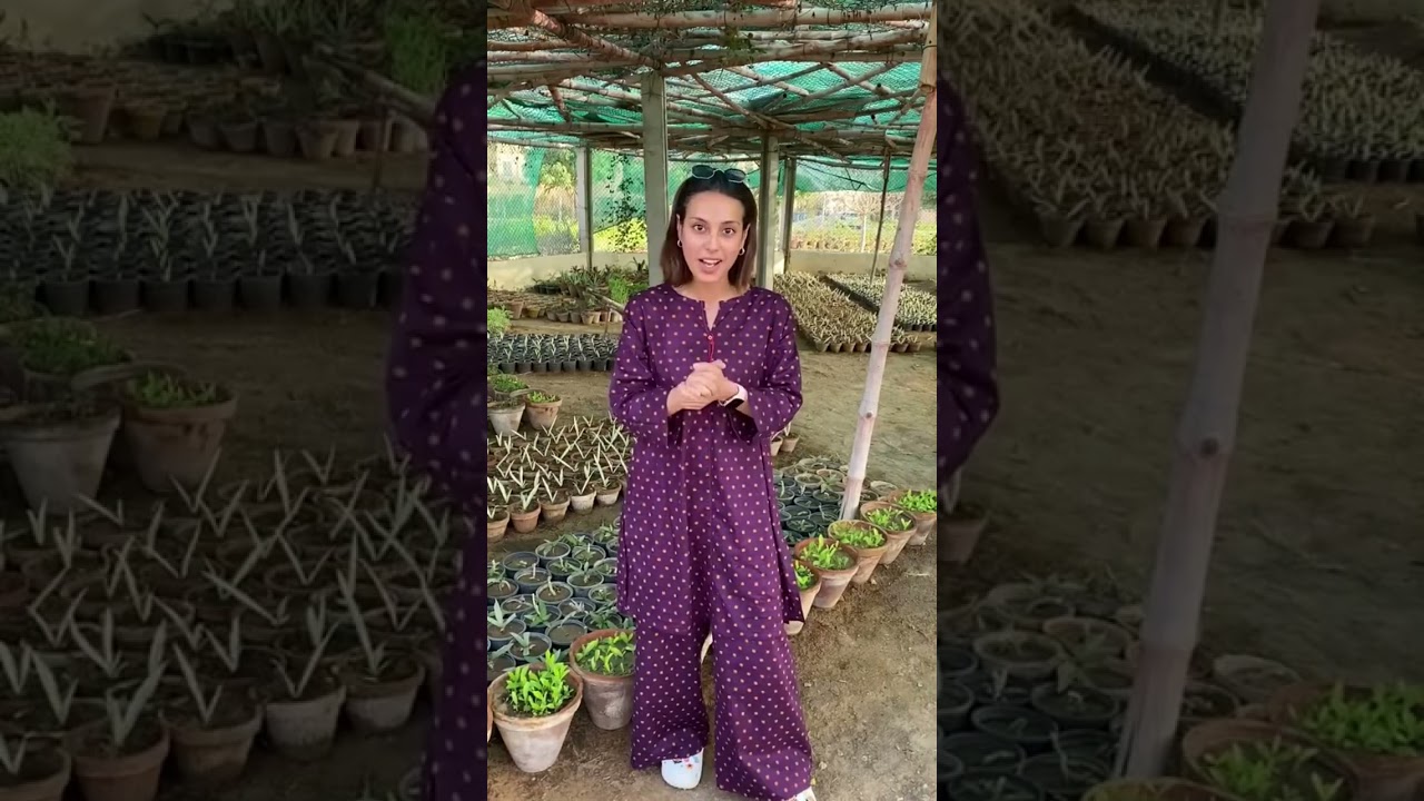 Iqra Aziz Visit Bahria Sports City Karachi #iqraaziz #bahriatownkarachi #iqrahasan #bahriatown