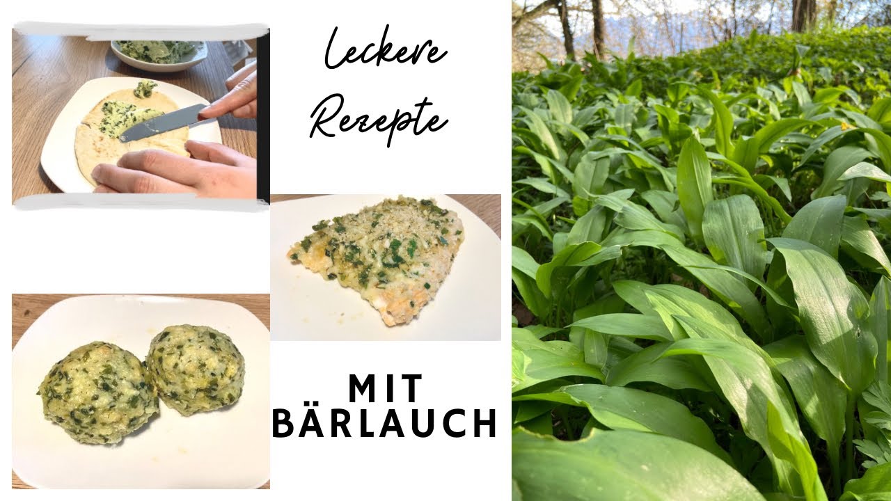 Bärlauch erkennen/ leckere Rezepte zum nachkochen