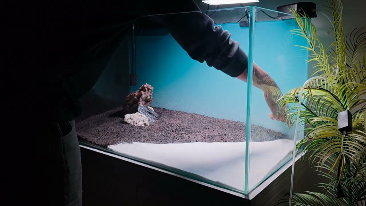 Relaxing Aquarium Setup Timelapse - From Empty to Beautiful #aquariumsetup #timelapse #fishtank 