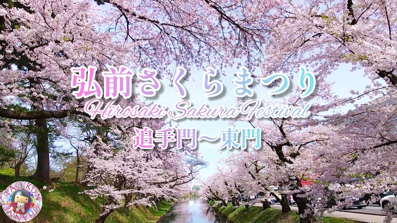 🌸日本一の桜の名所🌸弘前さくらまつり2022🌸外堀散歩🌸太鳳くんとお花見🌸花筏🌸弘前城公園🏯travel JAPAN🗾Cherry blossoms🌸Flowers🌸Hirosaki Castle🏯