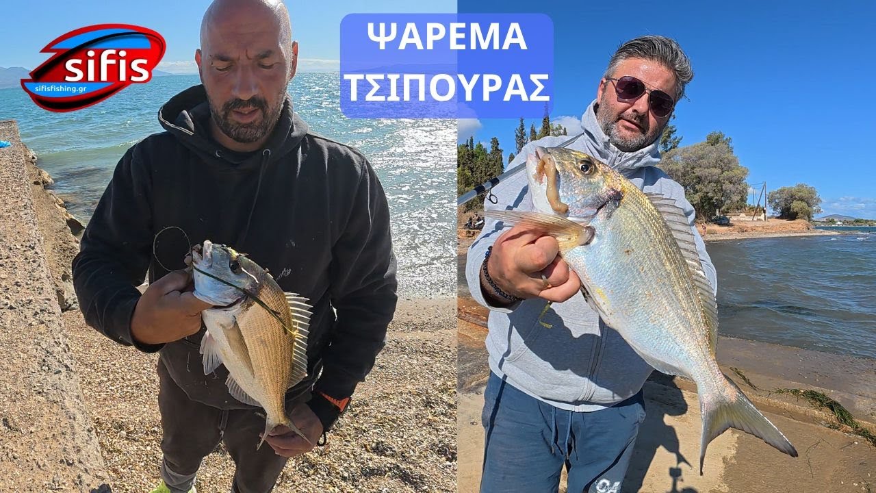 ΨΑΡΕΜΑ ΤΣΙΠΟΥΡΑΣ ΕΠΙΑΣΑ ΞΑΝΑ ΤΟΝ ΤΙΤΑΝΙΚΟ!!!