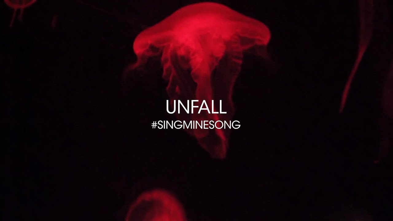 Balu - Unfall (Mine Cover | #singminesong)