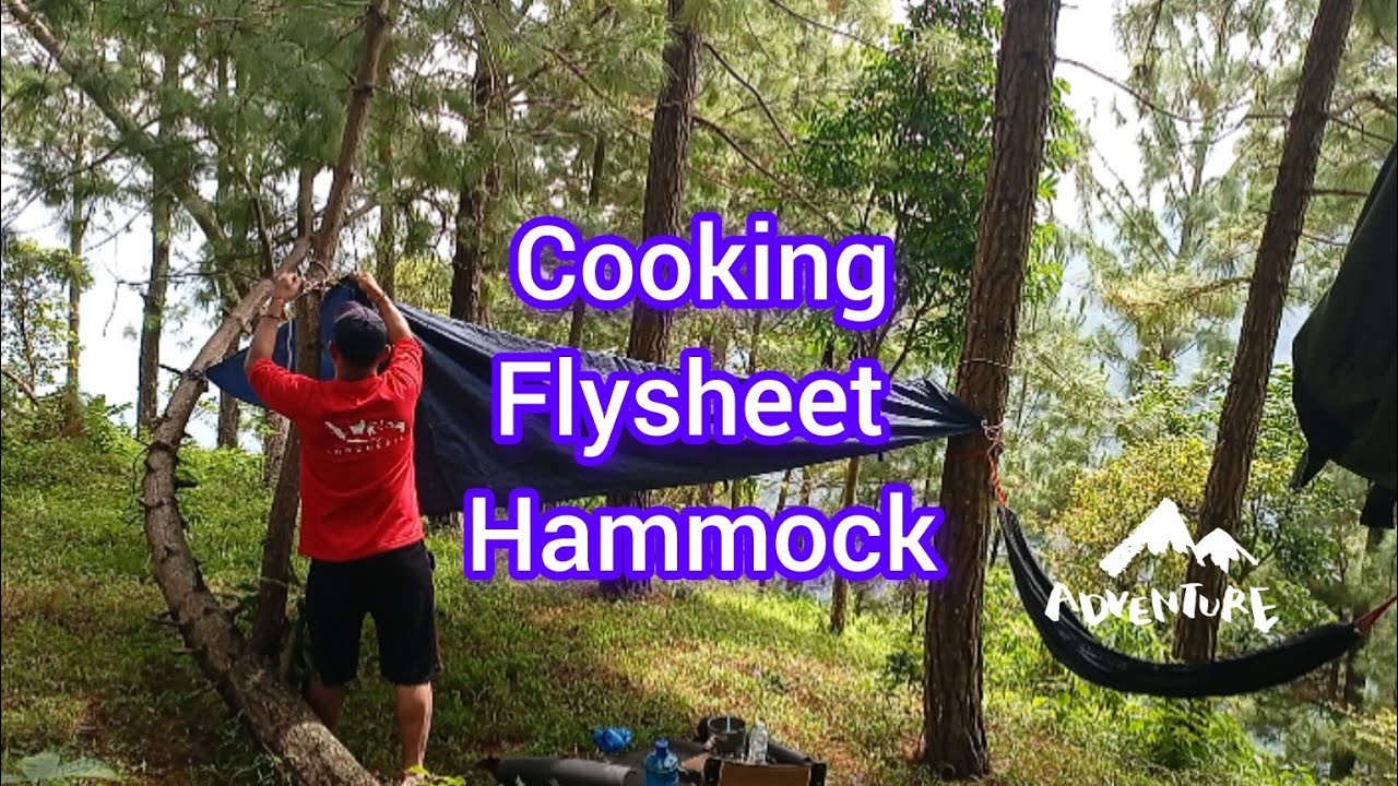 Hammock and flysheet | pineforest #nature #public #streetfood @awancamping