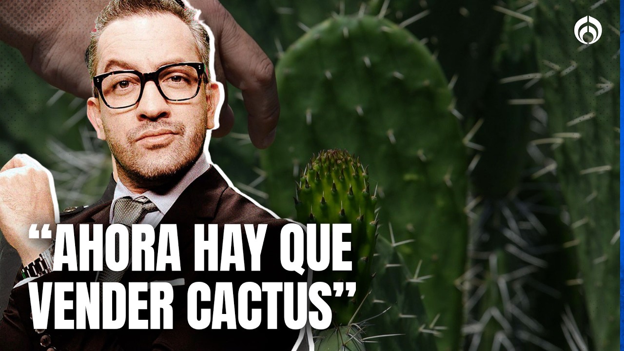 “¿Quién les vende?”: Chumel cuestiona gasto millonario en jardineras de San Lázaro
