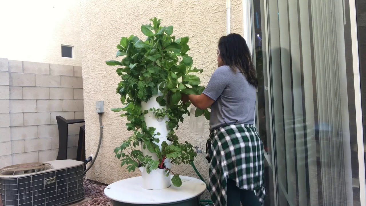 Grow your own food // Tower Garden