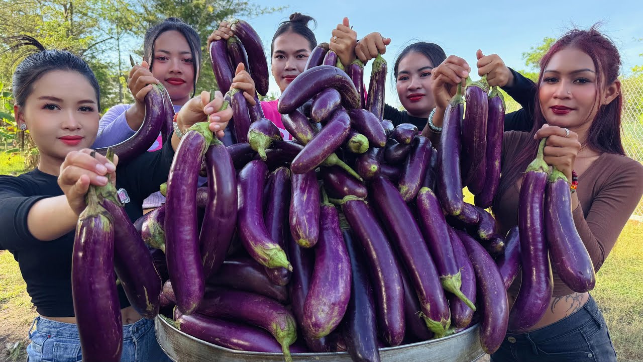 Amazing cooking egg plant recipe in my countryside