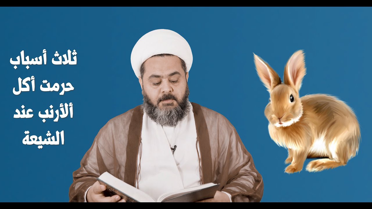 حكم أكل الأرنب عند الشيعة والسنة