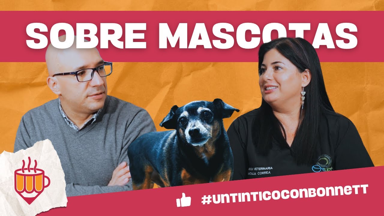 Hablando DE MASCOTAS nos tomamos #UnTinticoConBonnett