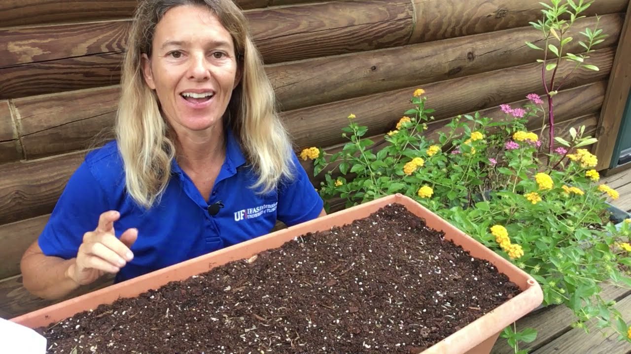 Florida Wildflower Seed Planting in Container