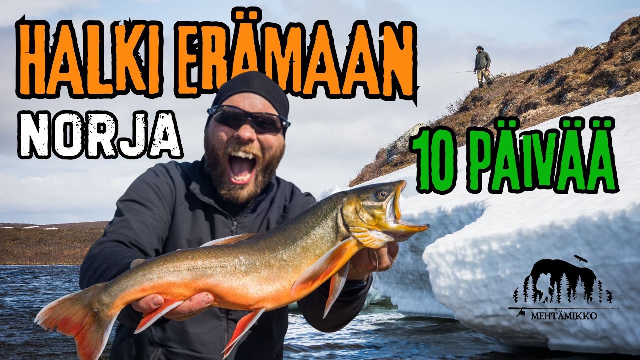 ERÄMAAN HALKI 10 PÄIVÄSSÄ – ONKO RAUTU SYÖNNILLÄÄN? 🎣 Kalastusvaellus Finnmarkissa
