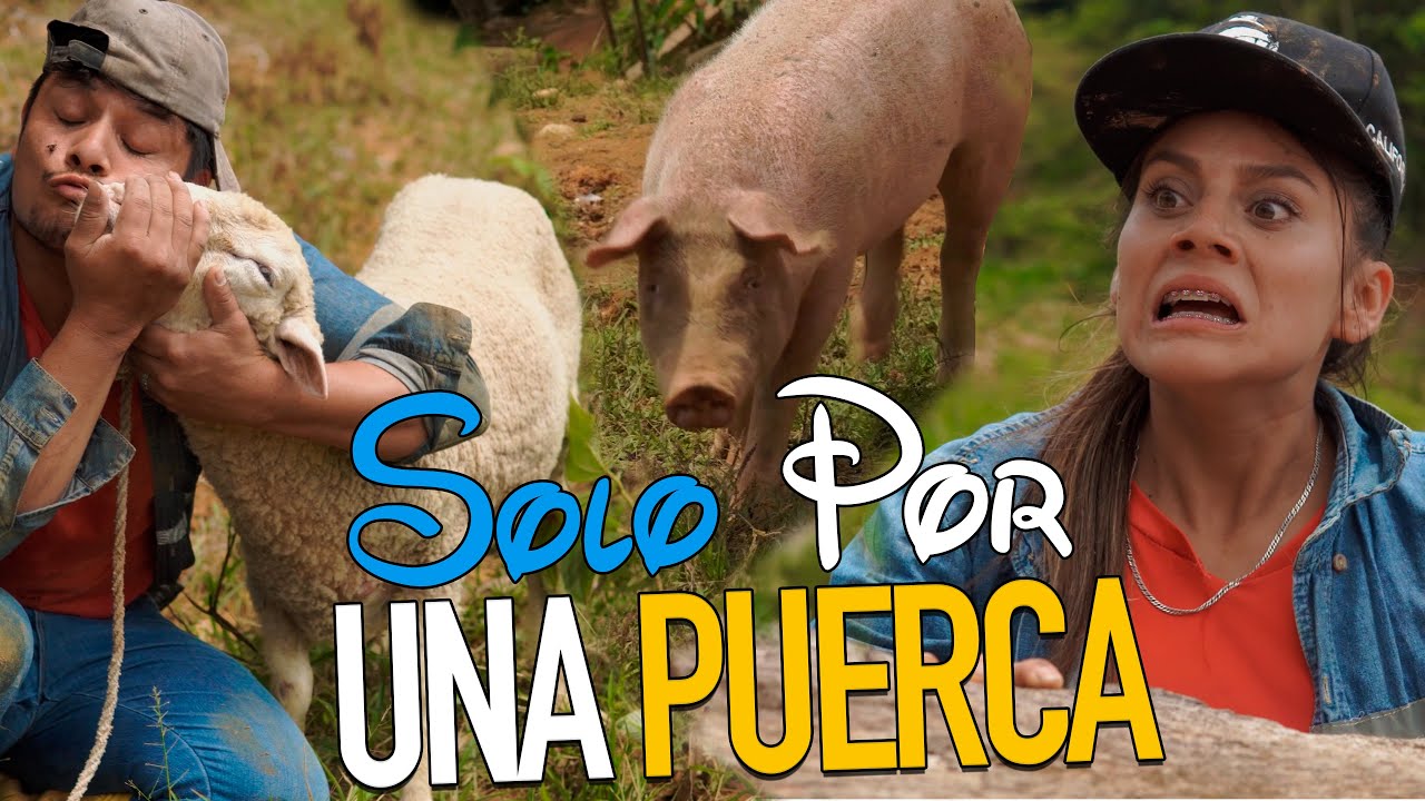 SOLO POR UNA PUERCA