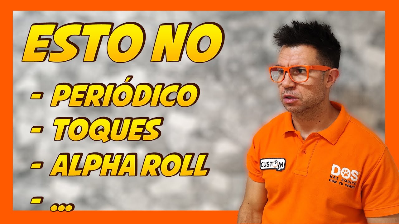 ❌ NO EDUQUES ASÍ 😓 | Adiestramiento Canino 🐶