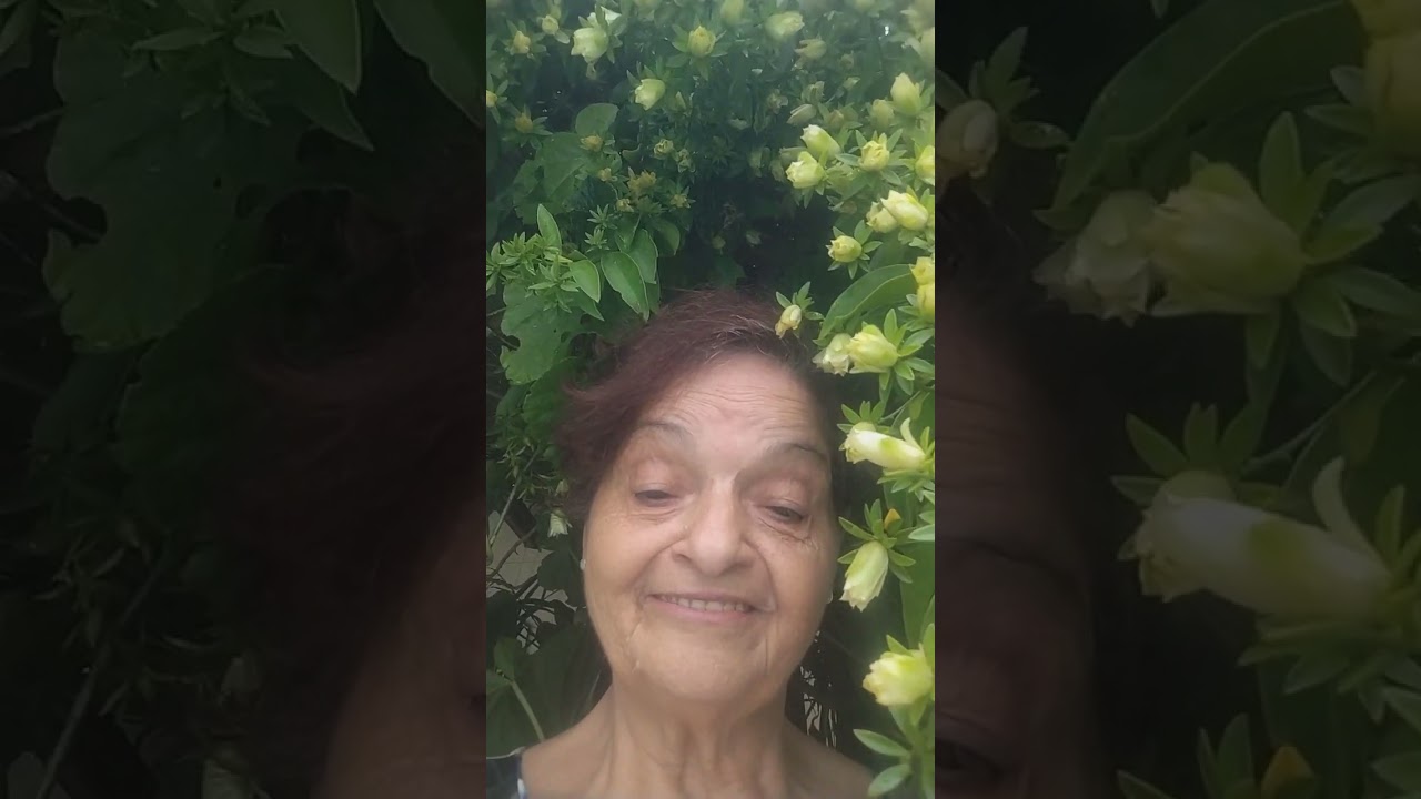  a vocês que nesse momento  está sendo humilhada pelos seus companheiros ofereço essas flores