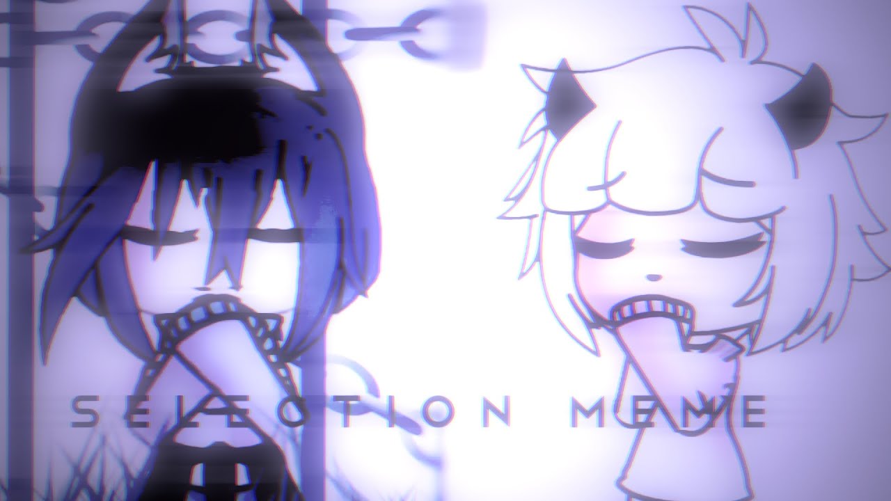 Selection Meme (Collab with MoonSaki)