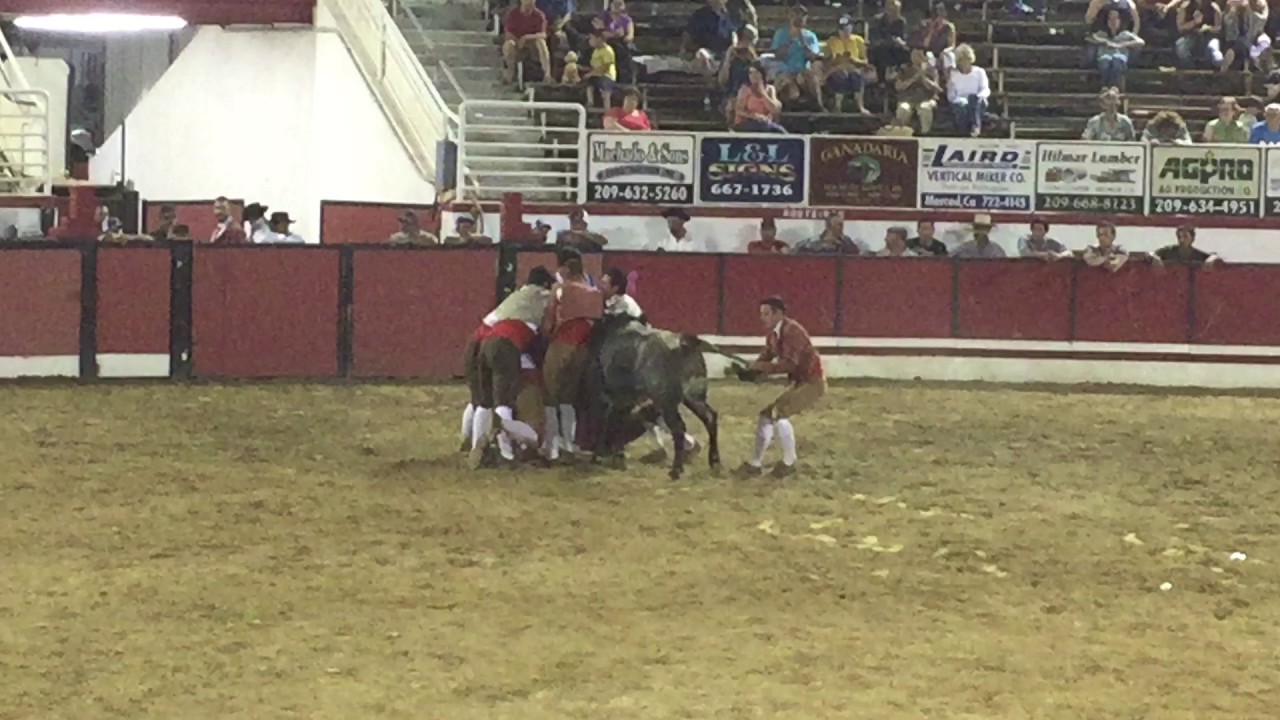 5th video combined teams Forcados