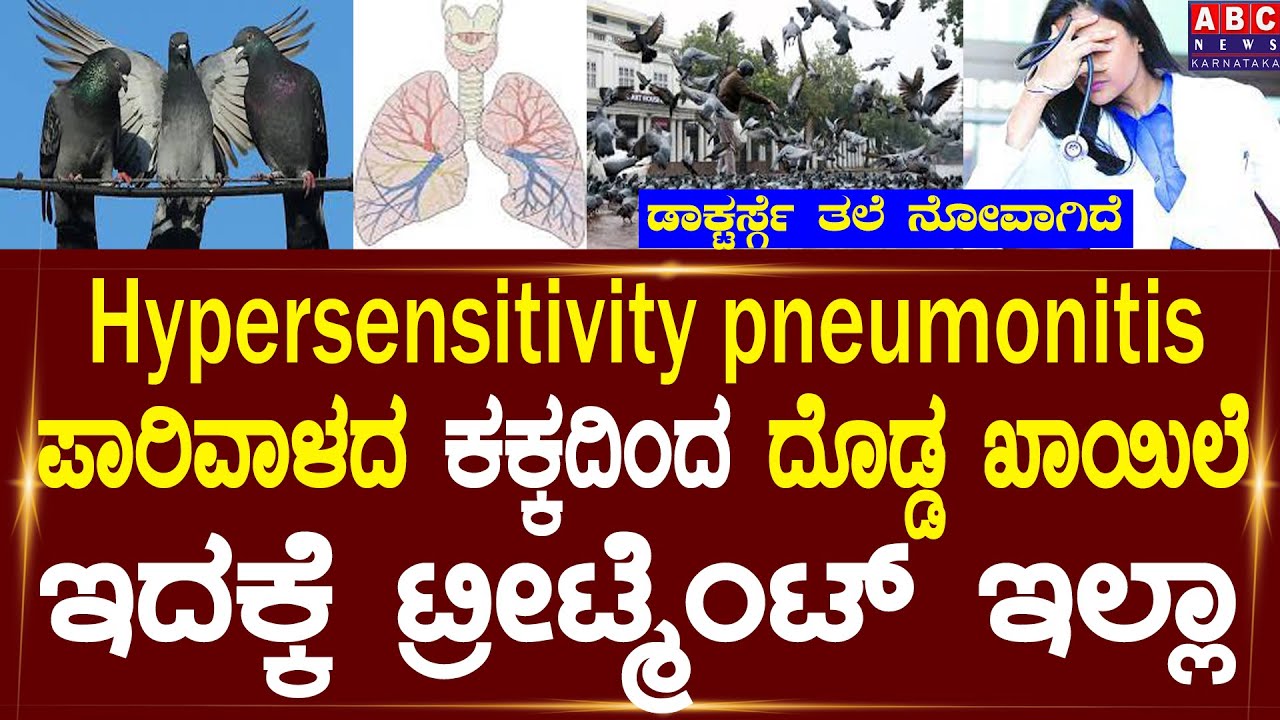ಪಾರಿವಳದಿಂದ ದೂರವಿರಿ | Hypersensitivity pneumonitis | Abc news karnataka