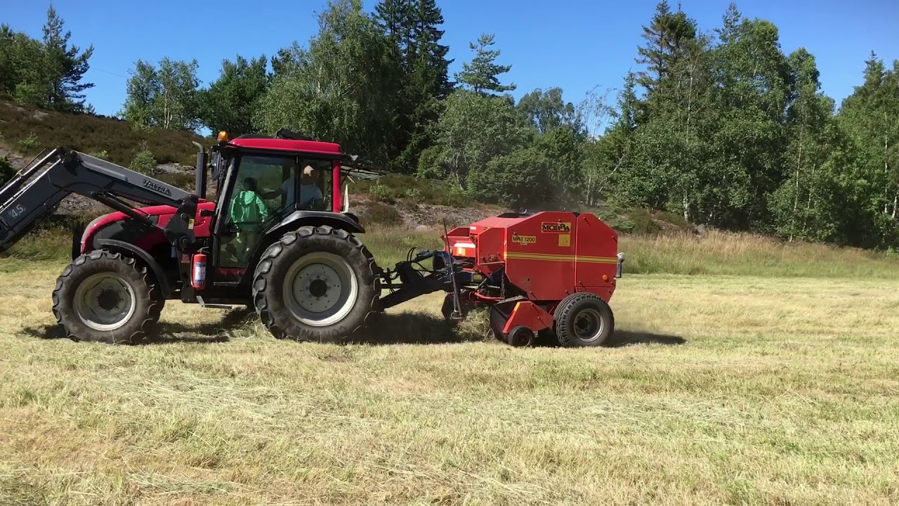 Hökörning 2017
