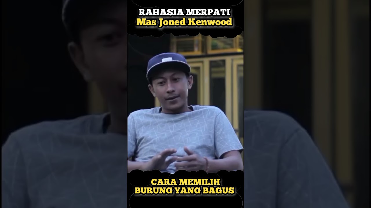 milih merpati ala mas juned kenwood
