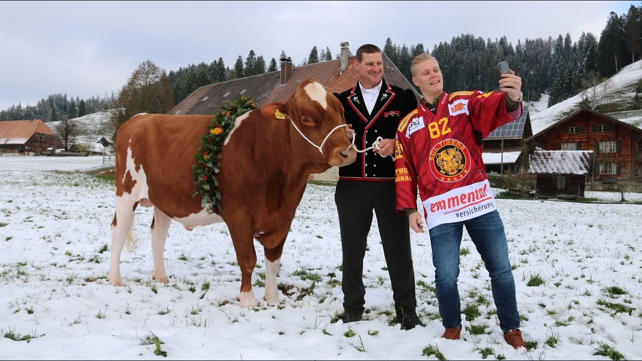 Trubschachen 2020 - das Fotoshooting mit dem Siegermuni