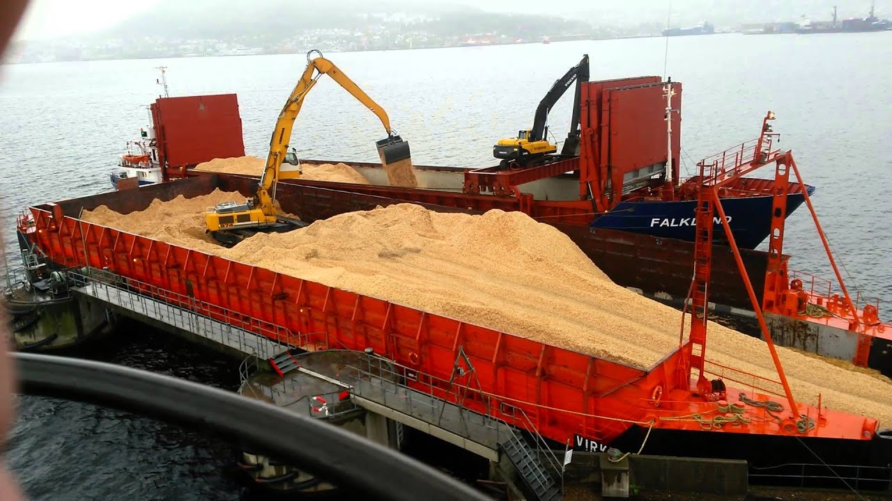 Liebherr 974 and 580 Loading wood chips