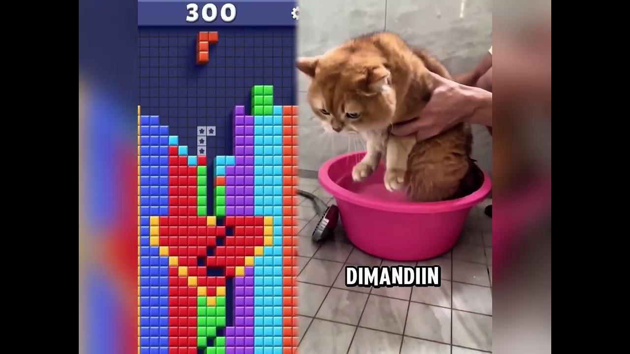 🤣👌👌👌2026 pov Must-Watch Crazy Clips Compilation #humor #fypシ #pov #fyp #foryou 😍😜