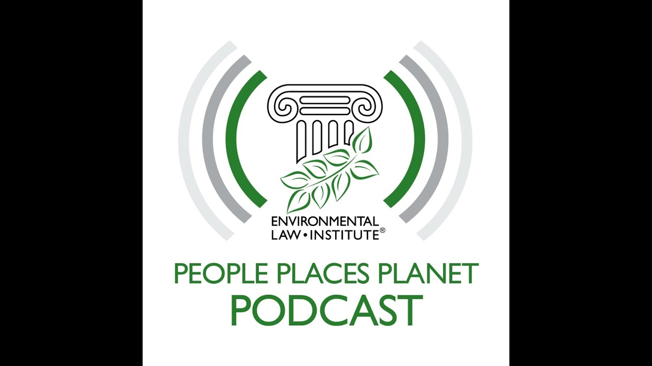 Toward A Global Pact for the Environment