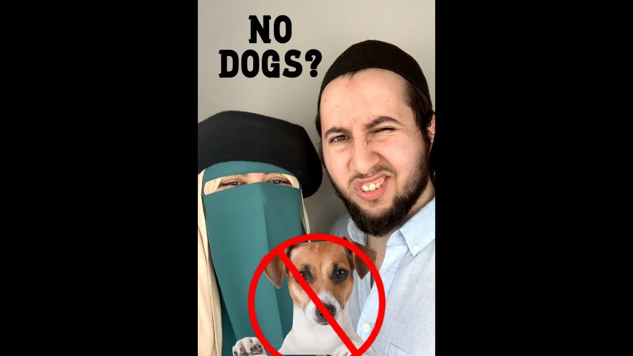 We can't get a dog because...