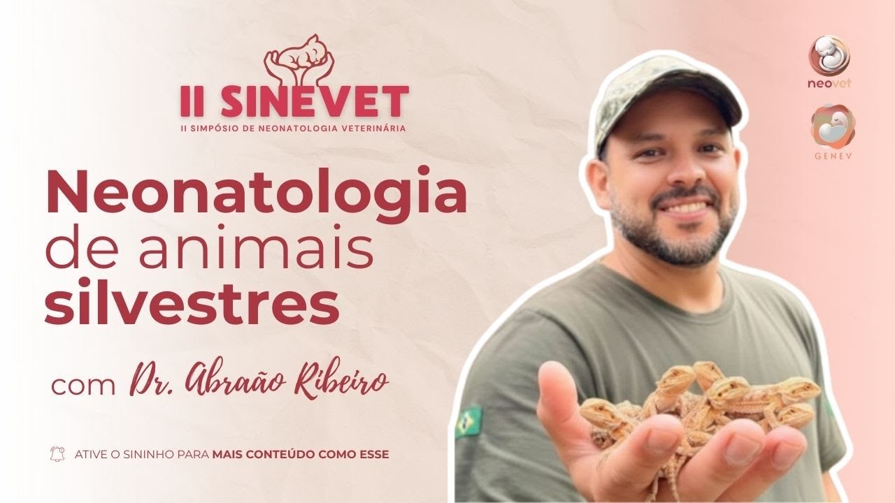 Esquenta SINEVET / Palestra 03 - Neonatologia de Animais Silvestres (Dr. Abraão Ribeiro)