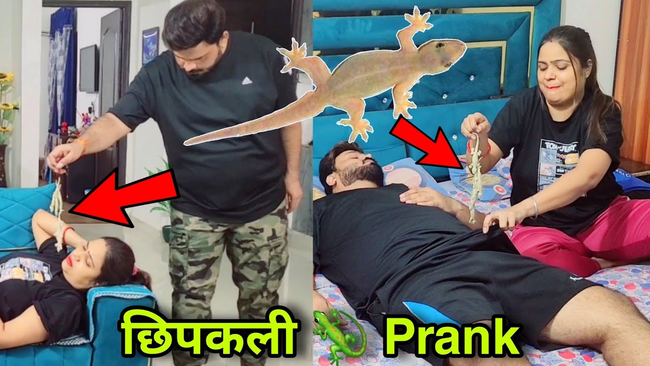 Lizard 🦎  Prank On Wife | D2 Prank 