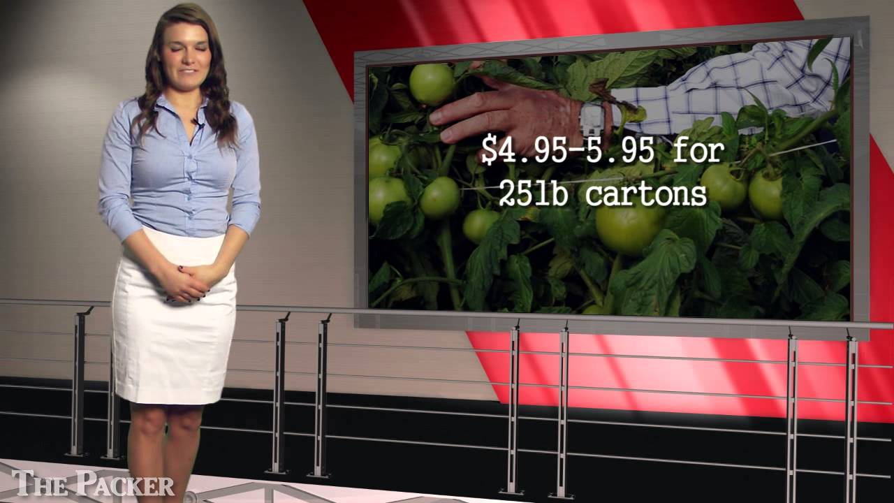 Tomato prices fall as volumes increase