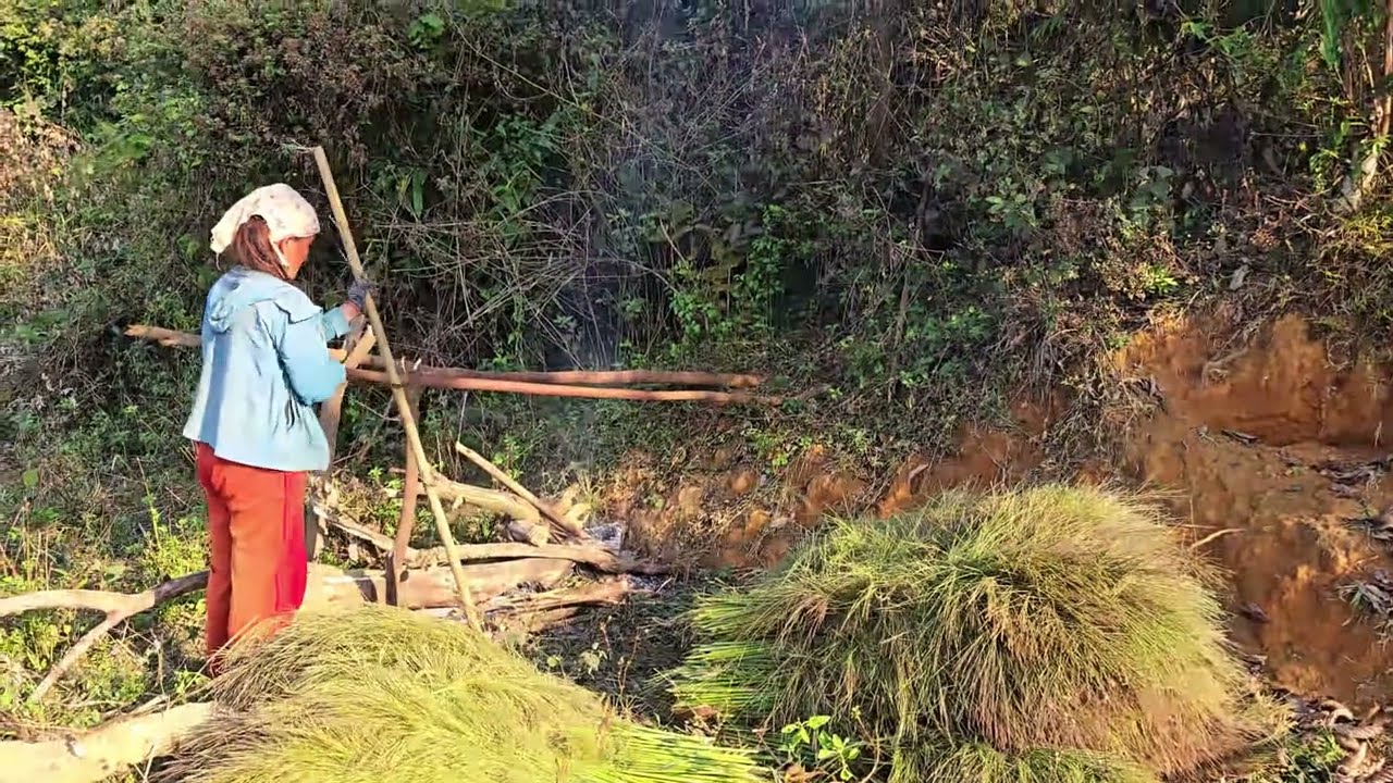 Travel Laos 2026 Ep.13