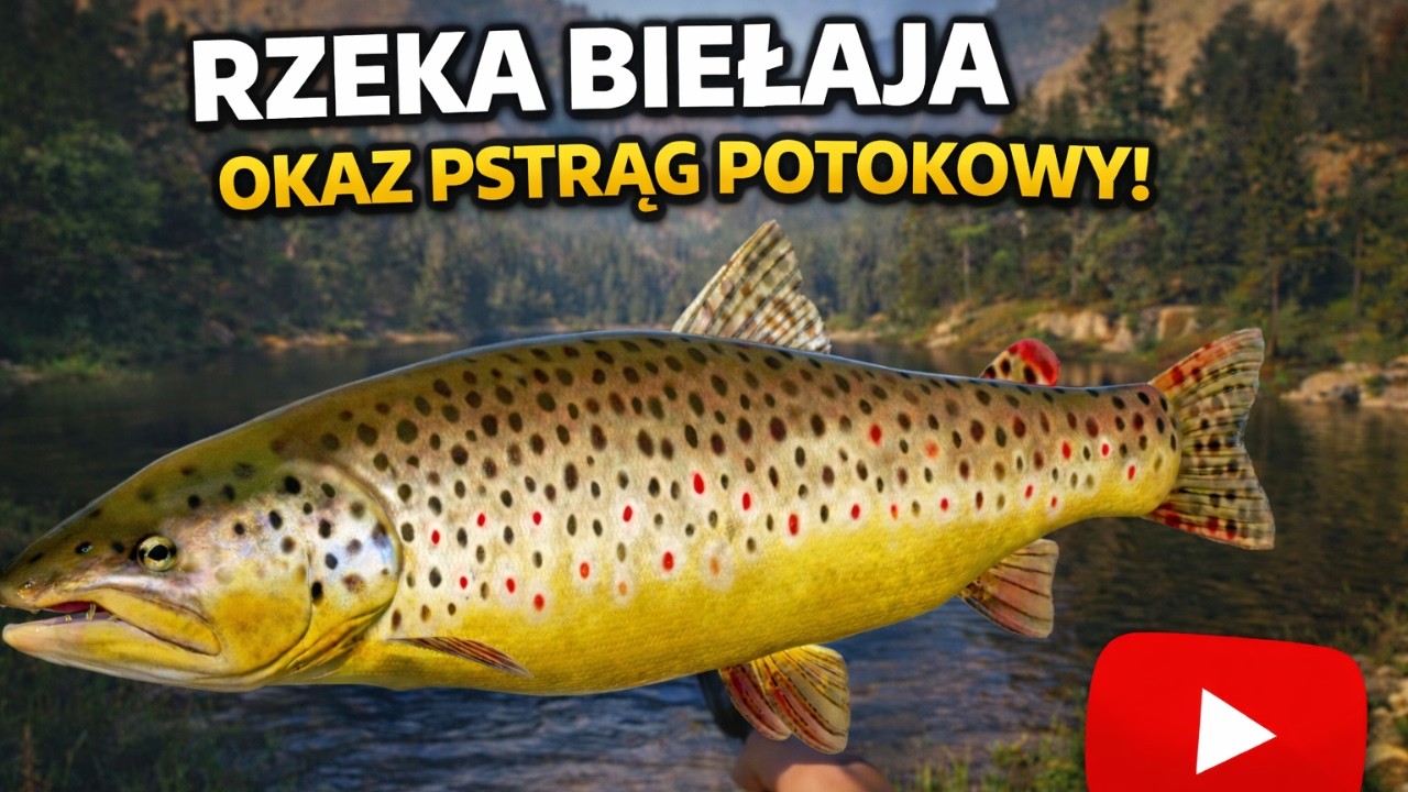 RZEKA BIEŁAJA | Belaya River | – OKAZ PSTRĄG POTOKOWY 60 cm! 🔥