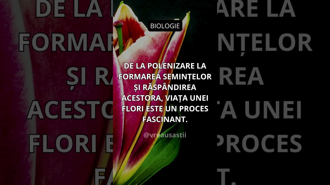 Ciclul vieții unei flori 